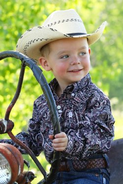 Toddler Paisley Button-Down Western Shirt - Multi
